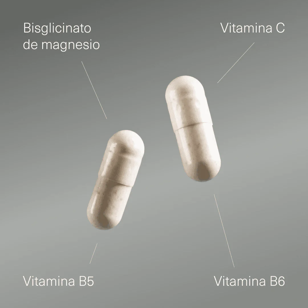 Bisglicinato de Magnesio con Vitamina B5, B6 y C - Image 3