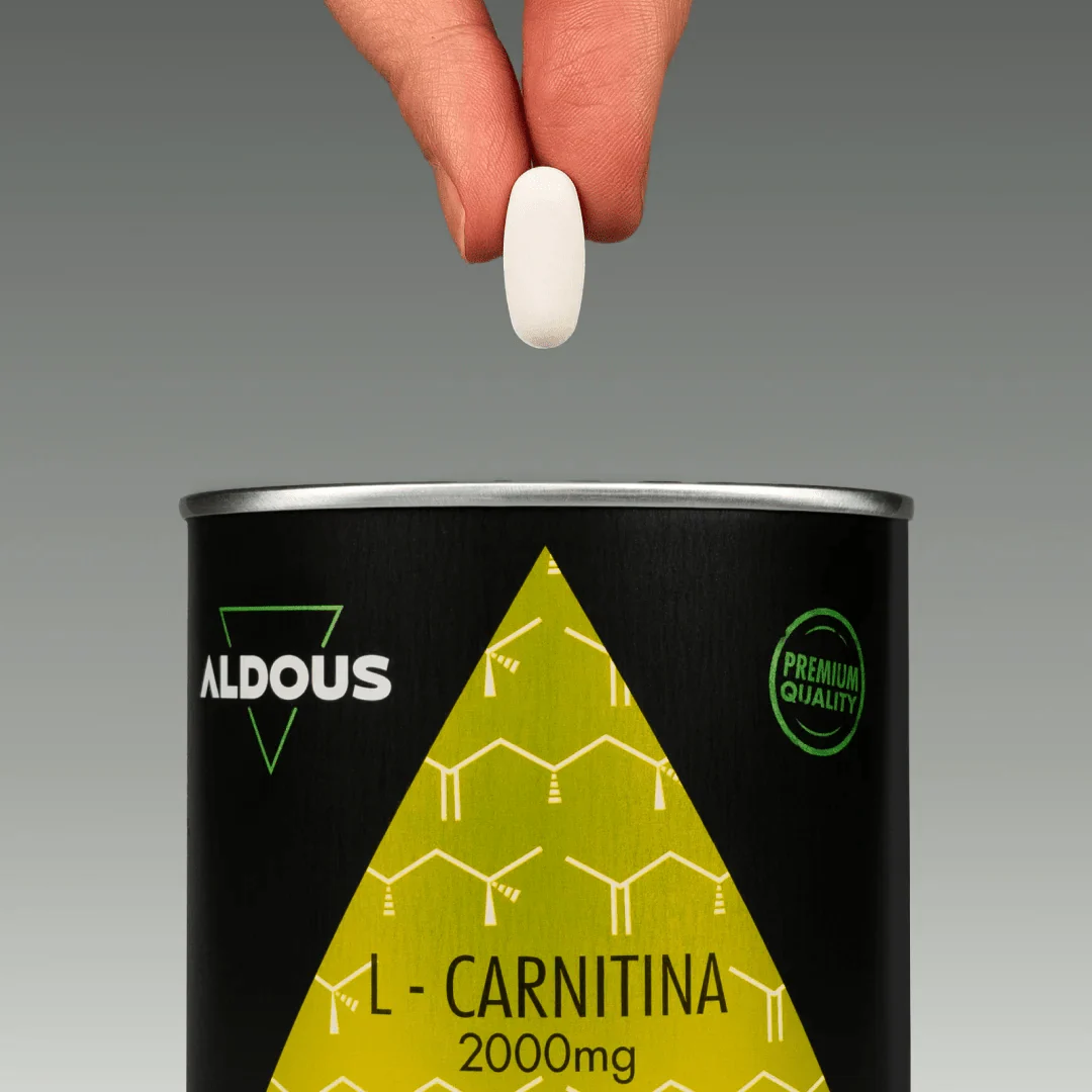 L-Carnitina - Image 4