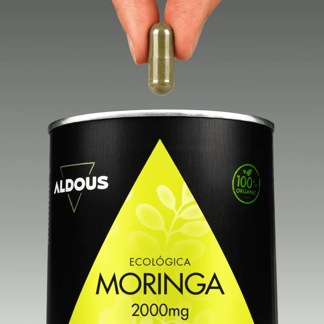 Moringa Ecológica - Image 4