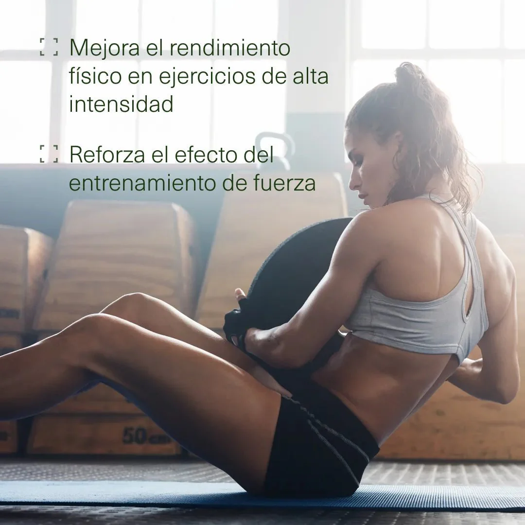 Pack Energía - Image 5