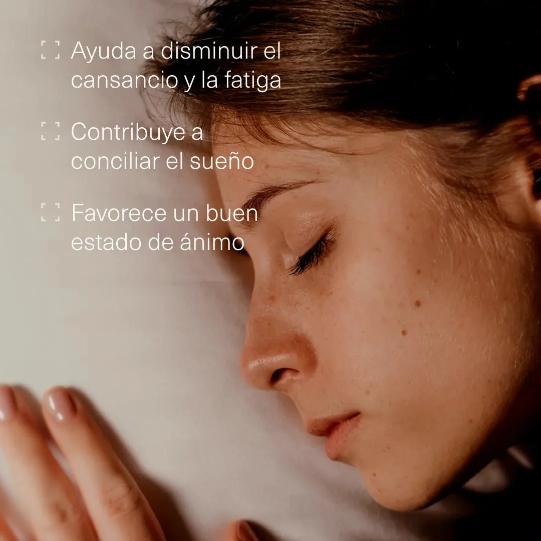 Pack Estudiantes - Image 5
