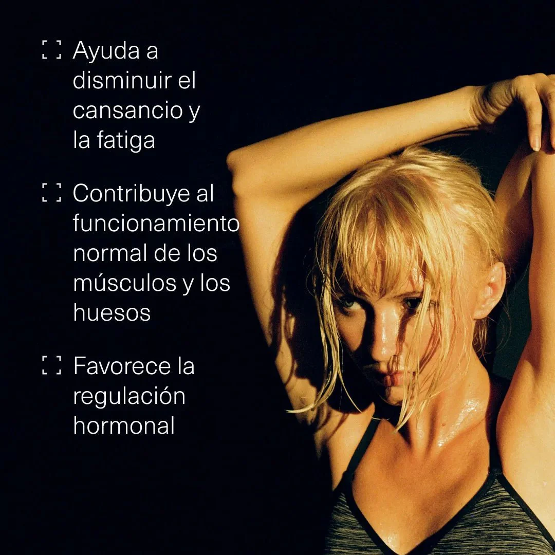 Pack Articulaciones - Image 3